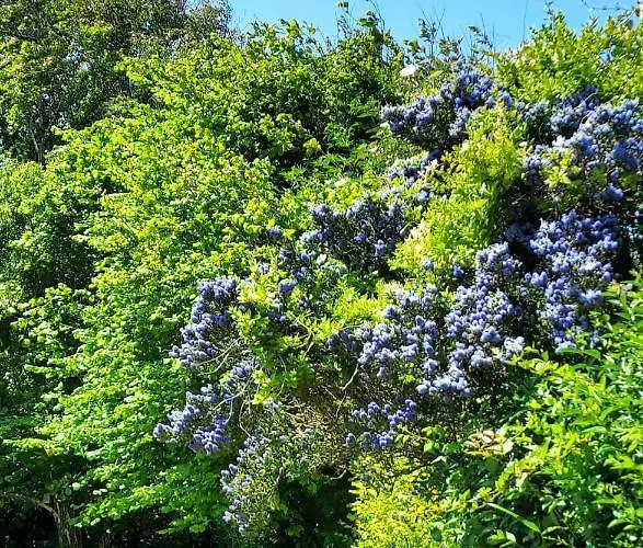 Bed & Breakfast Bn'b Juno Beach 5' De La Plage ! Bernieres-sur-Mer