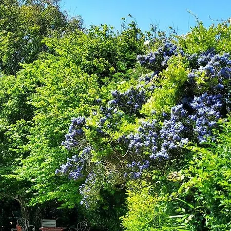 Bed & Breakfast Bn'b Juno Beach 5' De La Plage ! Bernières-sur-Mer